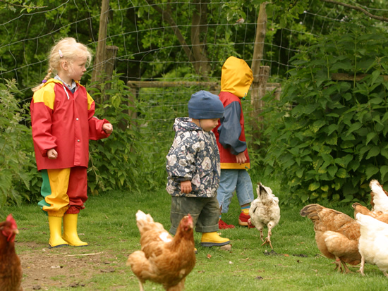 Die Kleinen entdecken den Bauernhof
